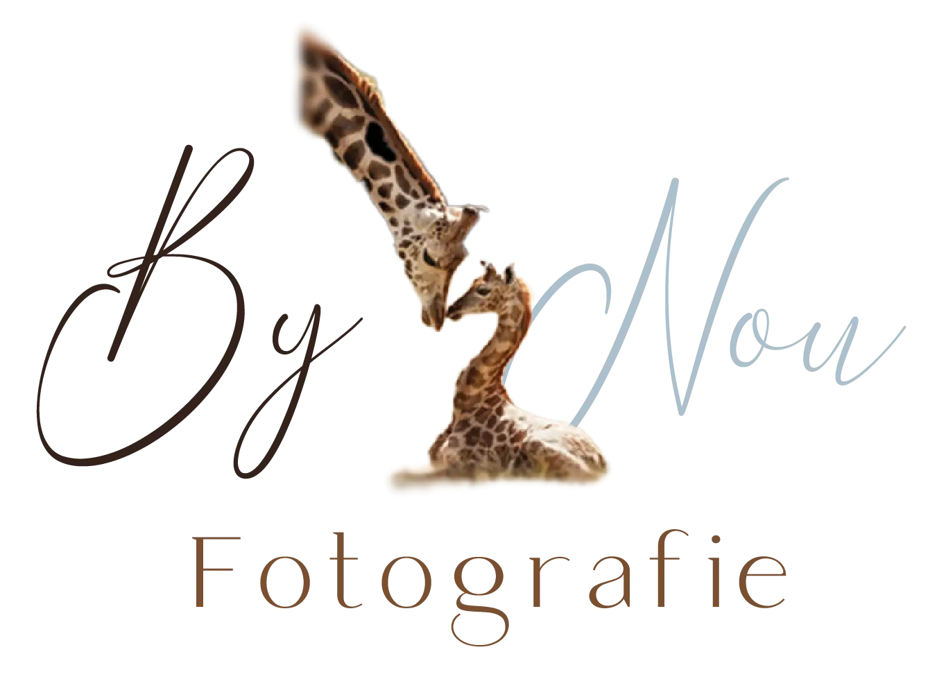 de DigitaleKraamzorg fotograaf Anouk